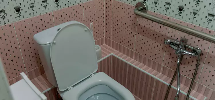 Meeting Diverse Needs With Accessible Restroom Solutions in McNair, VA